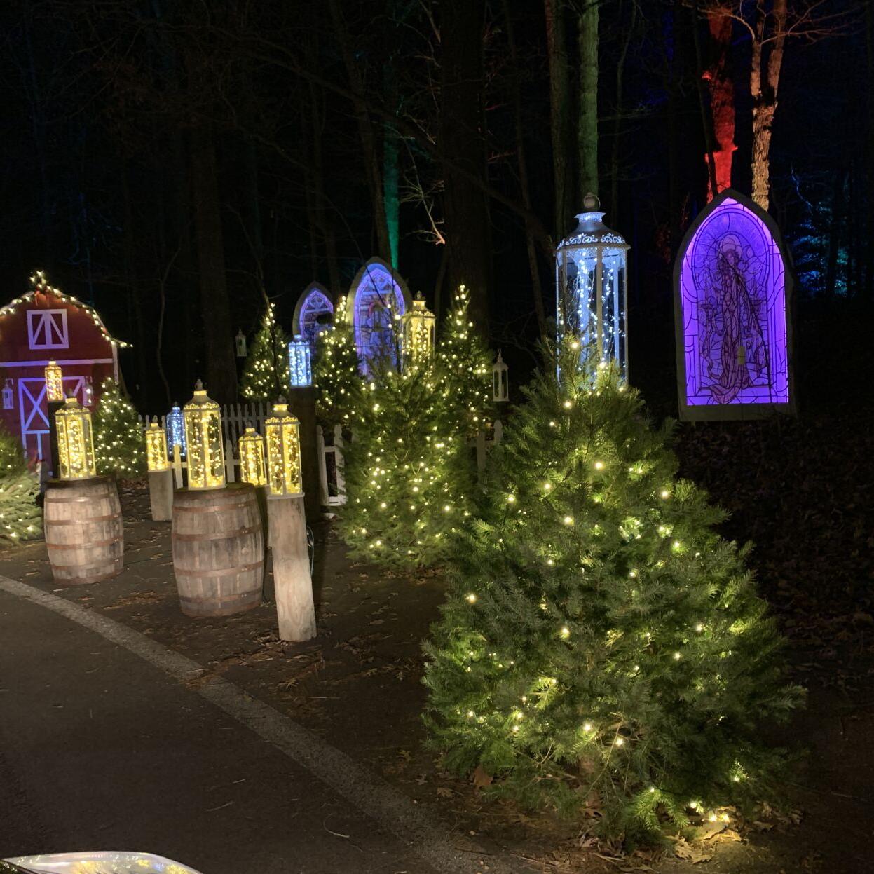 Winter Woods Spectacular (13).JPG